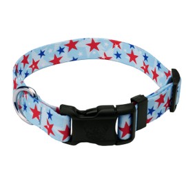 Country Brook Petz 1 Inch Deluxe Adjustable Dog Collar for Small, Medium, Large Breeds - Americana Collection with Patriotic Designs (American Celebration, Medium)