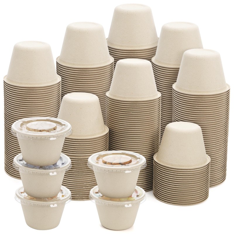 Tebery 200 Pack 4 Oz Disposable Condiment Portion Cups, Small