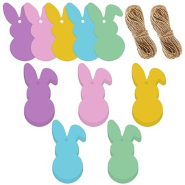Whaline 100 etiquetas de regalo de papel de Pascua, conejo, conejo, píos de regalo con cordel de yute, etiquetas colgantes de 5 colores, etiquetas de nombre para envolver regalos, suministros de decoración de fiestas