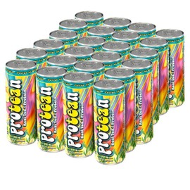 Genepro Real Tea + Protein Groovy Lemon Flavor, Workout Recovery & Energy Boost - Hydration & Protein with All Natural Flavors & Sweeteners - Protein 15g - Fruit, Beverage - Specification: 24 Pack - 12oz Cans, Flavour: Whey