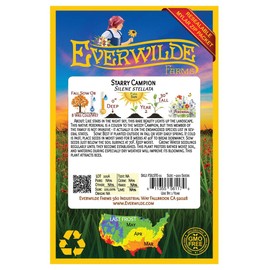 Everwilde Farms - 100 Starry Campion Native Wildflower Seeds - Gold Vault Seed Packet