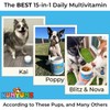 Numyumz Natural 15-in-One Complete Daily Multivitamin Dog Chew Supplement -