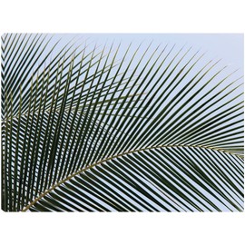 Fine Art Canvas Tropical Canvas Wall Decor by Artist Dennis Frates for Living Room, Bedroom, Bathroom, Kitchen, Office, Bar, Dining & Guest Room - Ready to Hang - 32 in x 24 in
