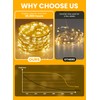 Fairy Lights with Remote, 8 Modes & Timer, 66 Feet