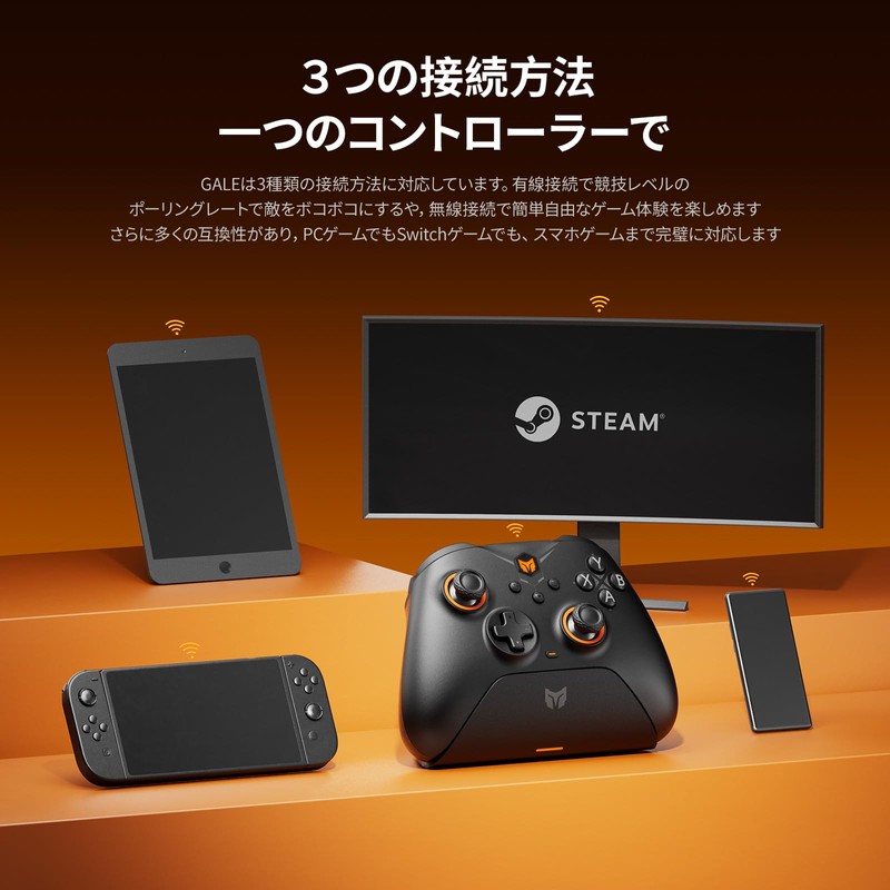 BIGBIG WON Gale Hall ゲームコントローラー、カスタムボタン、マクロ、ターボ、Switch/PC用デュアルショックコントローラー (Standard Black)