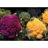 NIKA SEEDS - Seeds Vegetable Cauliflower Cabbage Mix - 200