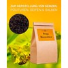 Nordbienchen Bee Bread Perga 100 g - Natural Bee Bread