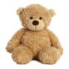 Aurora® Snuggly Bonny Bear™ Stuffed Animal - Comforting Companion -