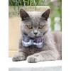 Lionet Paws Cat and Dog Collar with Bowtie,DarkBlue Plaid Cotton