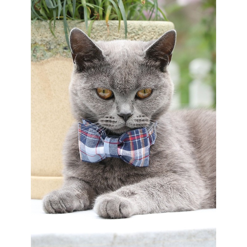 Lionet Paws Cat and Dog Collar with Bowtie,DarkBlue Plaid Cotton