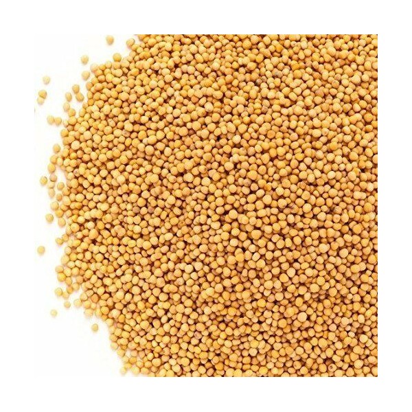 Whole Yellow Mustard Seeds All Natural by Its Delish, 1 lb (16 Oz Bag)