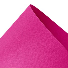 Netuno 10 x Coloured Cardboard, Pink, Textured on One Side, DIN A4, 21 x 29.7 cm, 220 g, Prism Ciclamino Textured Cardboard, Craft Card with Structure for Invitation Cards, Business Cards, Diplomas, Certificates