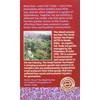 Equal Exchange Organic Black Tea, 20-Count