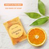 Terra Pure Wild Citrus Cleansing Bar, Travel Size Hotel, 1
