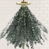 41 PCS Dried Preserved Eucalyptus Bundle for Shower-17'' Real Large