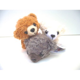 littlebeans Teddy Bear 7059 , white