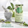 Republic of Tea, Tea Supergreen Serenity Organic, 36 Count