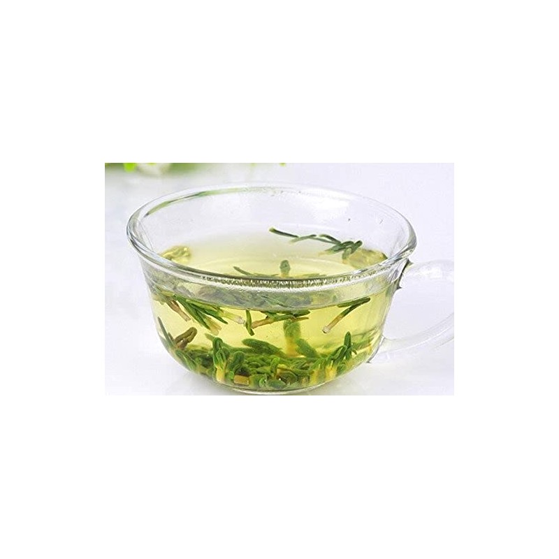 Lotus Plumule - Lian Zi Xin Plumula Nelumbinis from Nature