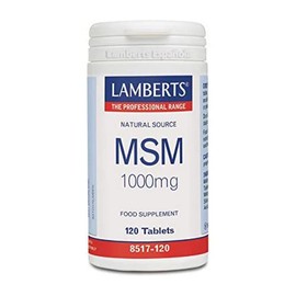 LAMBERTS - 120CAP MSM 1000MG