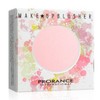 [RG28RO97] Prolance Blush Makeup Blusher No. 1 / [RG28RO97]프로랑스 볼터치 메이크업 블러셔 1호