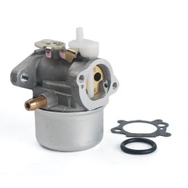 Beehive Filter Briggs & Stratton 799869 792253 Replacement Carburetor with Gasket