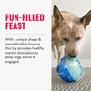 KONG - Rewards Ball - Ultra Durable Interactive Treat Dispensing