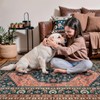 Tangsoo Oriental 2x3 Small Rug for Entryway,Washable Non-Slip Indoor Mat