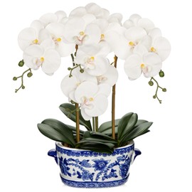 Briful Orchid Artificial Flowers in Blue and White Porcelain Pot 19.7" White Faux Silk Orchid Arrangement Large Fake Orchid Floral Centerpiece for Elegant Home Office Living Room Kitchen Table Decor