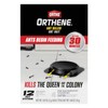 Ortho Orthene Ant Bait - Effective Indoor Ant Killer