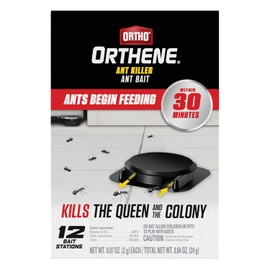 Ortho Orthene Ant Bait - Effective Indoor Ant Killer