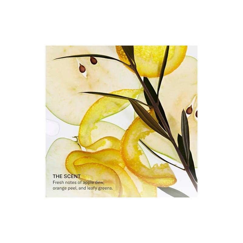 SEEN Crema Curly - Perfumada - No Comedogénica Y Libre