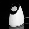 100ml Facial Steamer Nano Steam SPA Spray Moisturizer Face Sprayer
