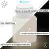 LUMENTICS Paint Colour: White Glow-In-The-Dark, 100 g Glow-In-The-Dark Colour With