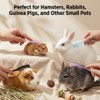 4-Pack Hamster Grooming Combs and Small Pet Hair Brushes for