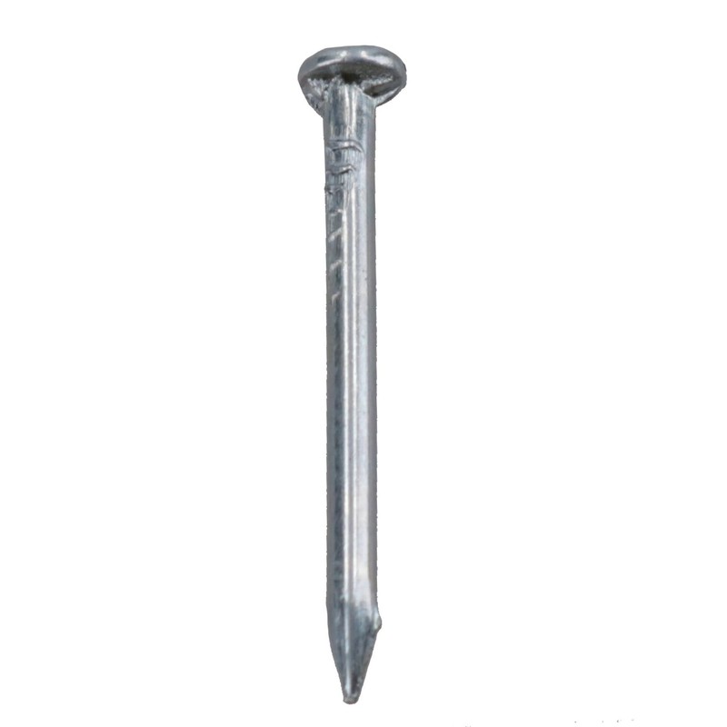20mm / 3/4” Flat Headed Multi Purpose Nails Panel Pins