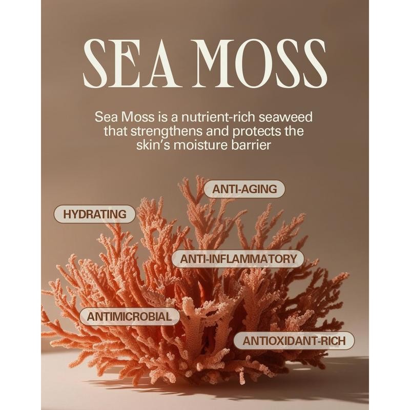 Isle Glow Face Moisturizer SPF 45 - Quantity: 1-Pack