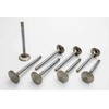 Manley 106498 Stainless Steel Performance Valves - Set of 8