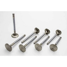 Manley 106498 Stainless Steel Performance Valves - Set of 8