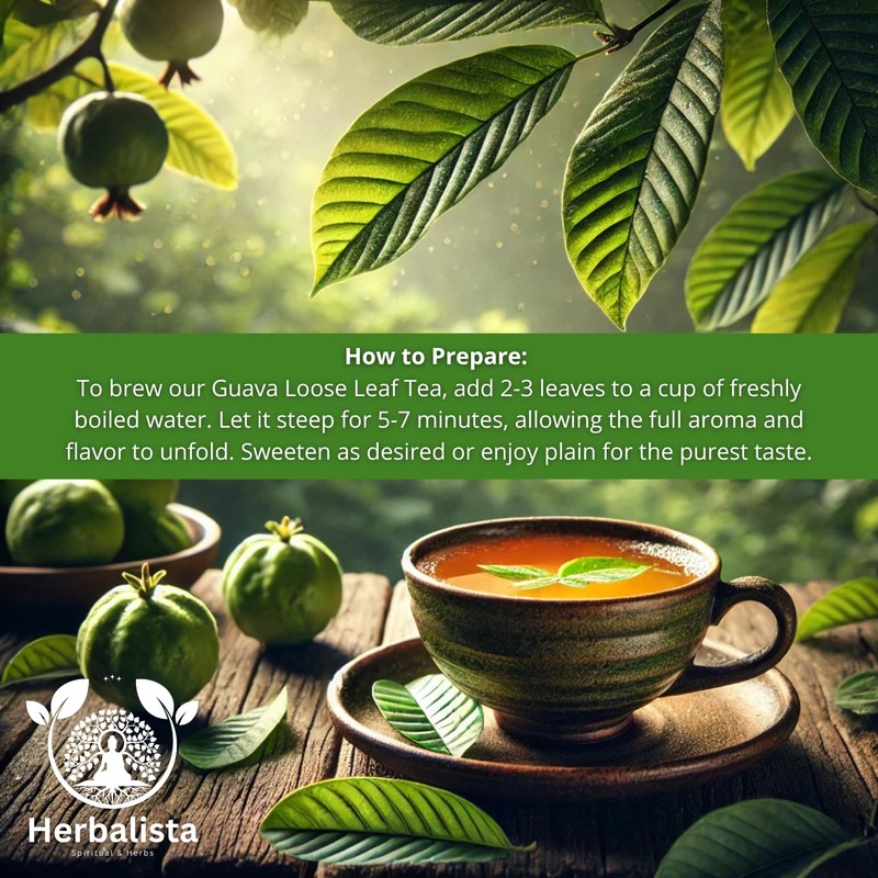 Herbalista - Wildcrafted Whole Guava Leaf Tea | 4oz (113g),