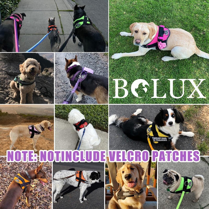 Bolux Dog Harness, No-Pull Reflective Dog Vest, Breathable Adjustable Pet