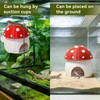3D Red Mushroom House Reptile Hides and Caves, Reptile Hideout