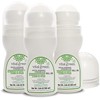 Vital Green Desodorante Roll-On Natural, Alumbre de Potasio, 90ml, 3pk