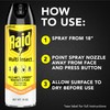 Raid Multi Insect Killer, Orange Breeze 15 Ounce (Pack of