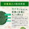 Kyoto Ujitawara Tea House 27493 Powdered Sencha Tea Tea, Smooth,