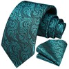 HISDERN Men's Tie Teal Paisley Floral Ties and Pocket Square