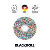 BLACKROLL® Standard Fascia Roller (30 x 15 cm), Fitness Roller