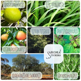 Aroma Stickers Original Blend Edition - 100% Natural Essential Oil Scented - Aromatherapy Stickers for Face Mask & Pillow (12 Stickers/pc) -Personal Aroma/Energizing (Energize, Pack of 3)