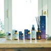 Tree of Life Blending Essential Oil Day-DAY 0.3 fl oz