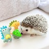 Homedy Crafts 2 PCS Cute Small Animal Accessories Toys and