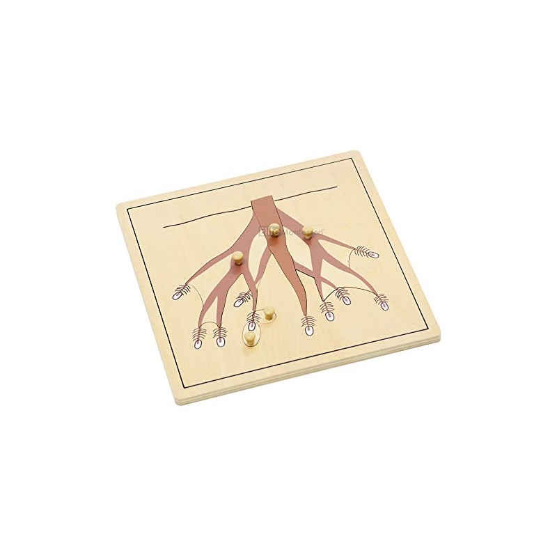 Elite Montessori Root Puzzle